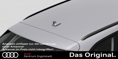 Lackierung einer Antenne in Fahrzeug Farbe (Antenne nicht im Preis inbegriffen!) Lackierung einer Antenne in Fahrzeug Farbe (Antenne nicht im Preis inbegriffen!)