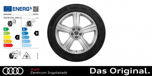 Original Audi e-tron / Q8 e-tron 20 Zoll Winterkomplettradsatz 5-Arm-Design, galvanosilber metallic 255/50 R 20 109H ContiWinterContact TS850P AO, 9x20 Original Audi e-tron / Q8 e-tron 20 Zoll Winterkomplettradsatz 5-Arm-Design, galvanosilber metallic 255/50 R 20 109H ContiWinterContact TS850P AO, 9x20